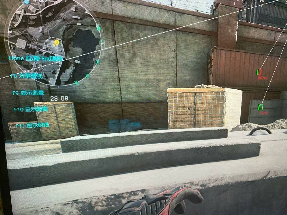 三角洲行动苹果辅助【飞鸟】